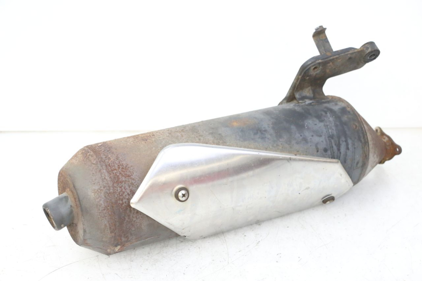 photo de AUSPUFF DAELIM HISTORY 125 (2001 - 2002) - Gesamtansicht des Produkts