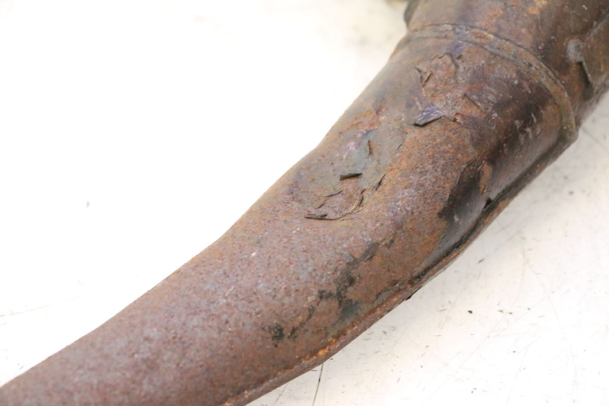 photo de AUSPUFFANLAGE PEUGEOT LUDIX 50 (2005 - 2007) - Oberflächenzustand und Material