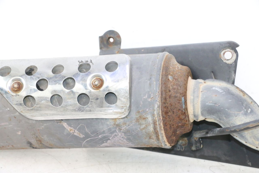 photo de AUSPUFF PEUGEOT LUDIX PRO 2T 50 (2010 - 2017) - Fokus auf die Struktur