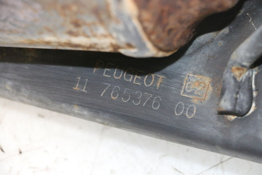 photo de AUSPUFF PEUGEOT LUDIX PRO 2T 50 (2010 - 2017) - Oberflächenzustand und Material