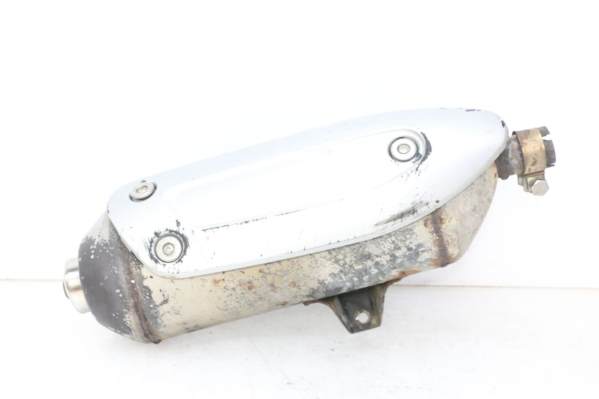 photo de AUSPUFF PIAGGIO MP3 RL 250 (2006 - 2010) - Hauptansicht