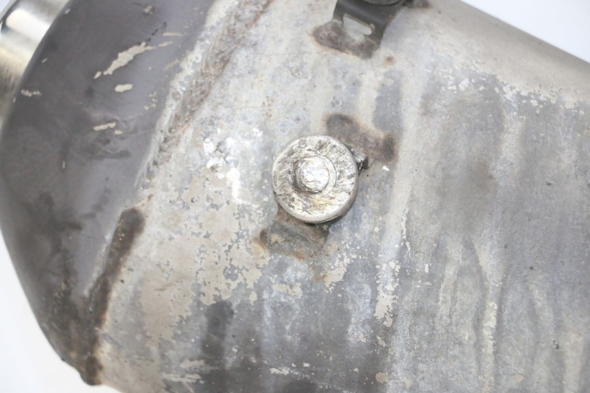 photo de AUSPUFF PIAGGIO MP3 125 (2006 - 2014) - Hauptansicht