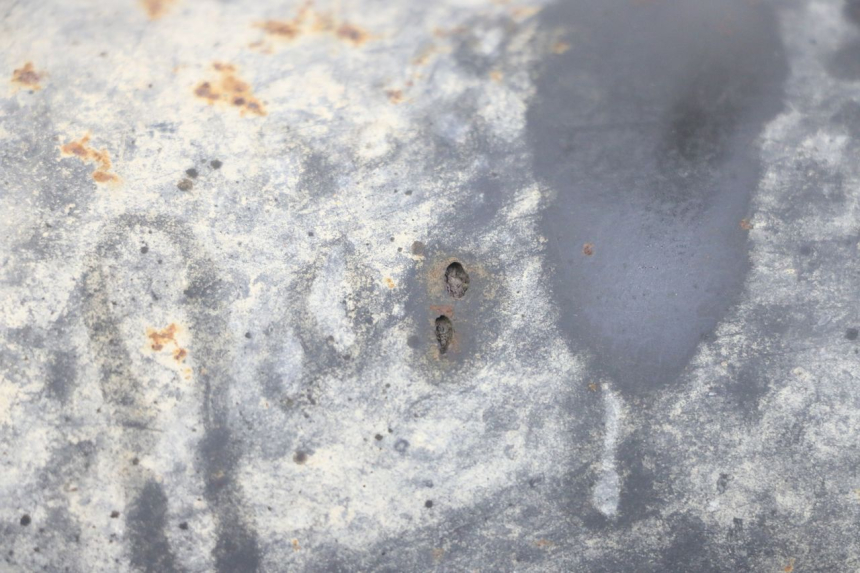 photo de AUSPUFFTOPF TNT MOTOR ROMA 10' 4T 50 (2007 - 2018) - Alternative Perspektive