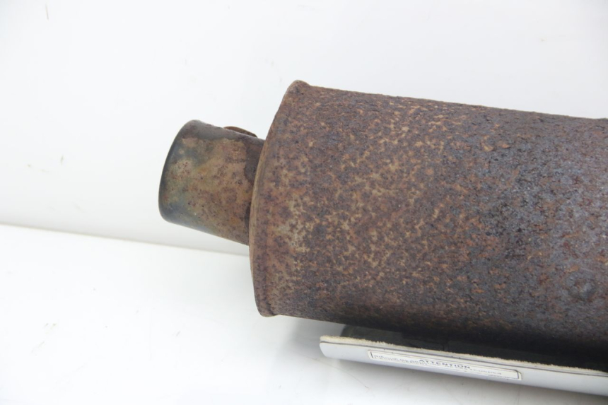 photo de AUSPUFF TNT MOTOR ROMA 12' 2T 50 (2007 - 2018) - Hochauflösende Nahaufnahme