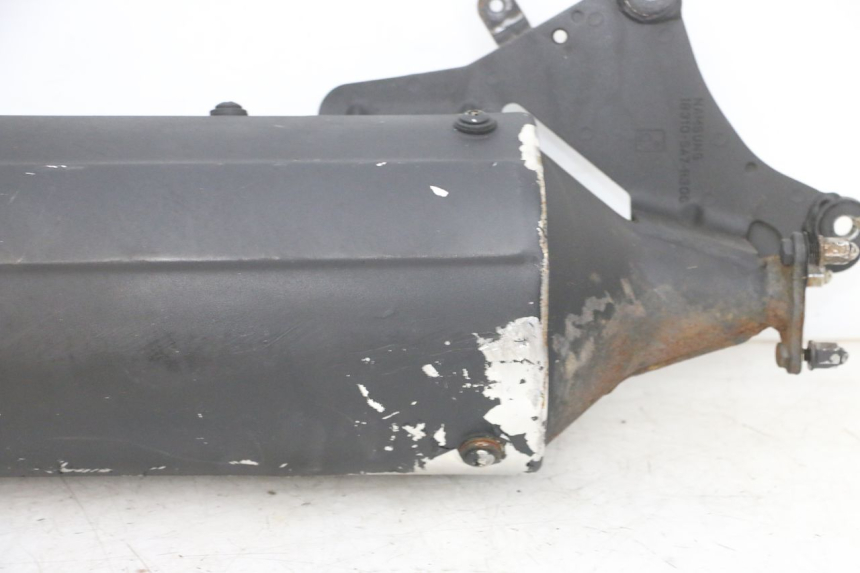 photo de AUSPUFF DAELIM S1 125 (2007 - 2016) - Charakteristische Merkmale