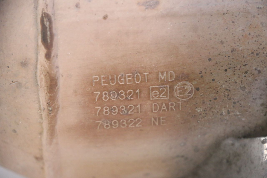 photo de AUSPUFF PEUGEOT SATELIS 125 (2013 - 2018) - Gesamtansicht des Produkts