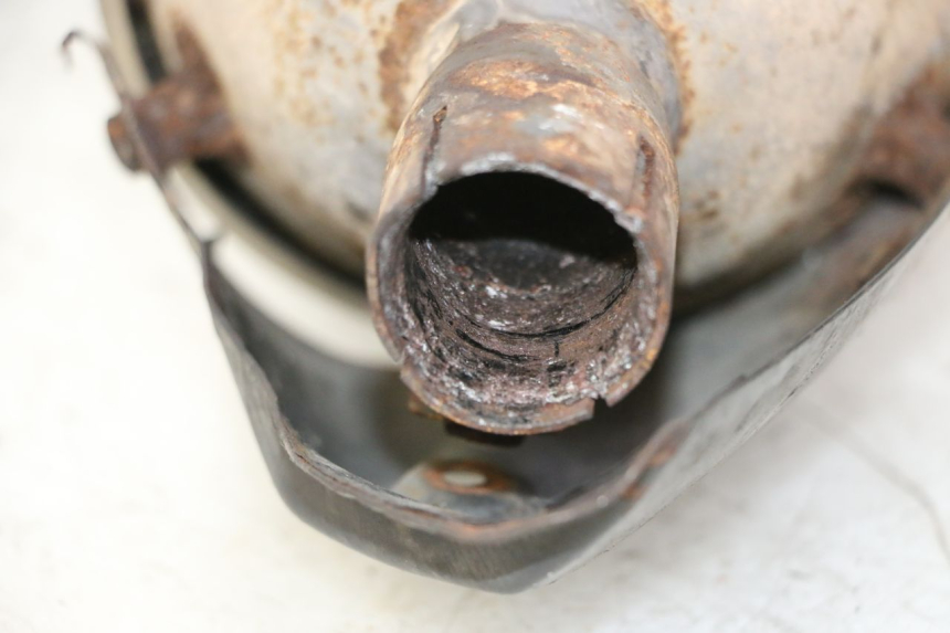 photo de AUSPUFFANLAGE PEUGEOT SATELIS 125 (2006 - 2009) - Technische Nahaufnahme