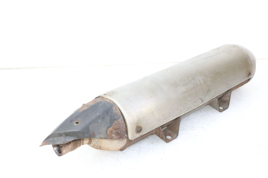 photo de AUSPUFFANLAGE PEUGEOT SATELIS 125 (2006 - 2009) - Gesamtansicht des Produkts