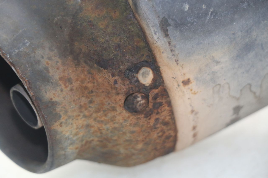 photo de AUSPUFF HONDA SES DYLAN 125 (2002 - 2006) - Charakteristische Merkmale