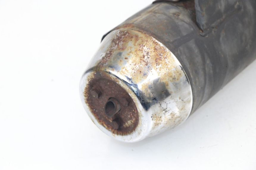 photo de AUSPUFF PEUGEOT SUM UP 125 (2008 - 2013) - Gesamtansicht des Produkts