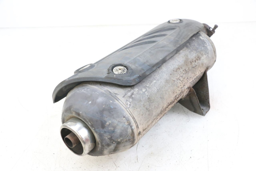 photo de AUSPUFFTOPF PIAGGIO X10 125 (2012 - 2017) - Charakteristische Merkmale