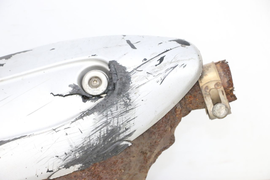 photo de AUSPUFFTOPF PIAGGIO X8 125 (2004 - 2007) - Hochauflösende Nahaufnahme