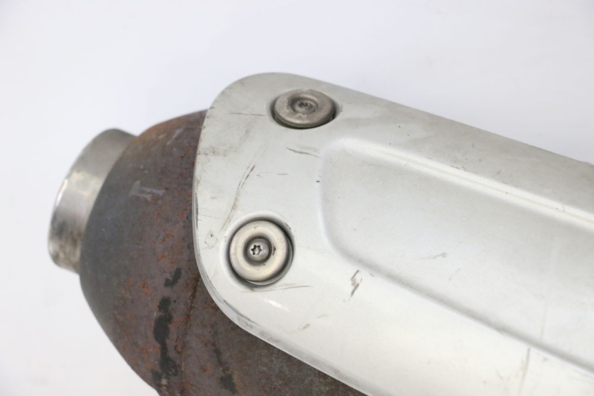 photo de AUSPUFFTOPF PIAGGIO X9 EVOLUTION 125 (2003 - 2007) - Alternative Perspektive