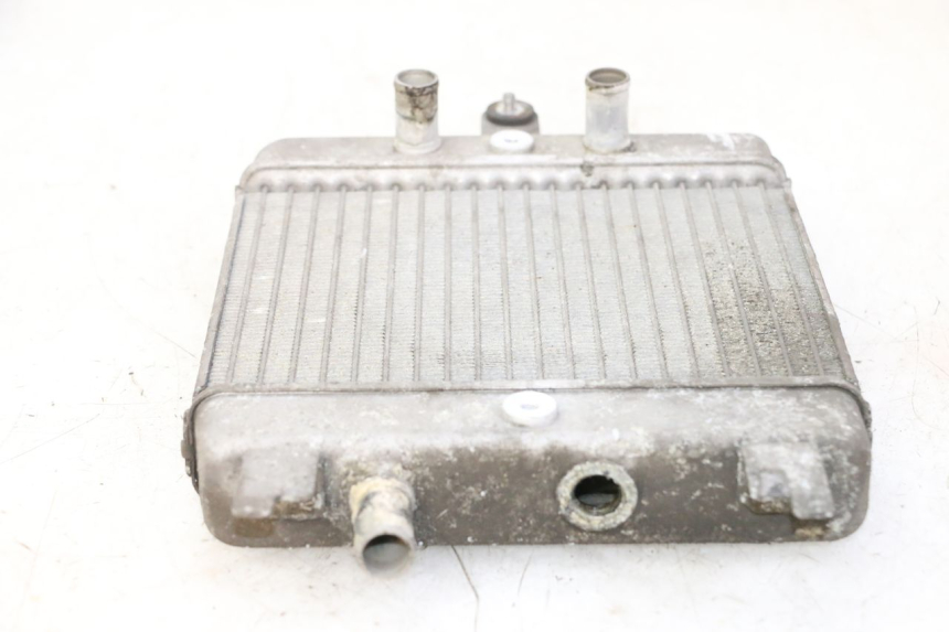 photo de KÜHLER SUZUKI BURGMAN 125 (2007 - 2014) - Oberflächenzustand und Material