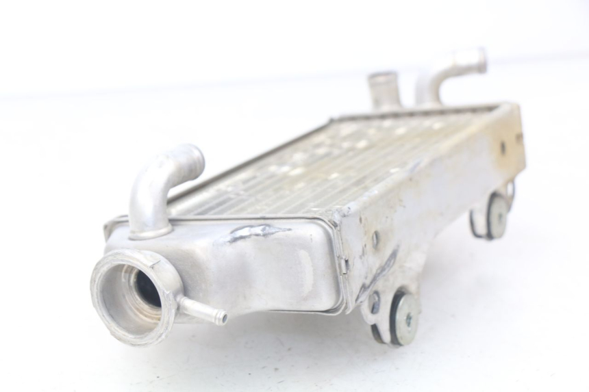 photo de RECHTER KÜHLER SUZUKI RM-Z RMZ 250 (2010 - 2016) - Alternative Perspektive