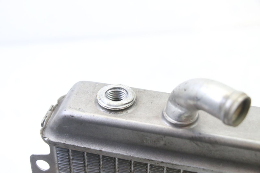 photo de KÜHLER PEUGEOT ELYSEO 125 (1999 - 2004) - Zoom auf Gebrauchszustand