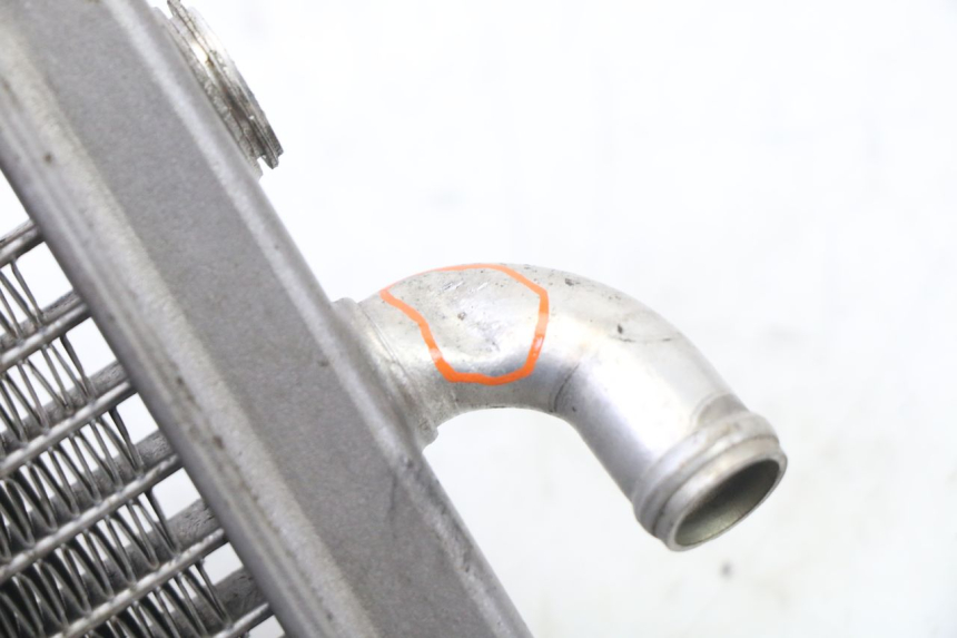 photo de KÜHLER PEUGEOT ELYSEO 125 (1999 - 2004) - Technische Nahaufnahme