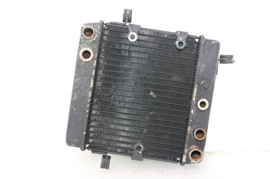 photo de KÜHLER HONDA FES PANTHEON 2T 125 (1998 - 2002) - Hauptansicht