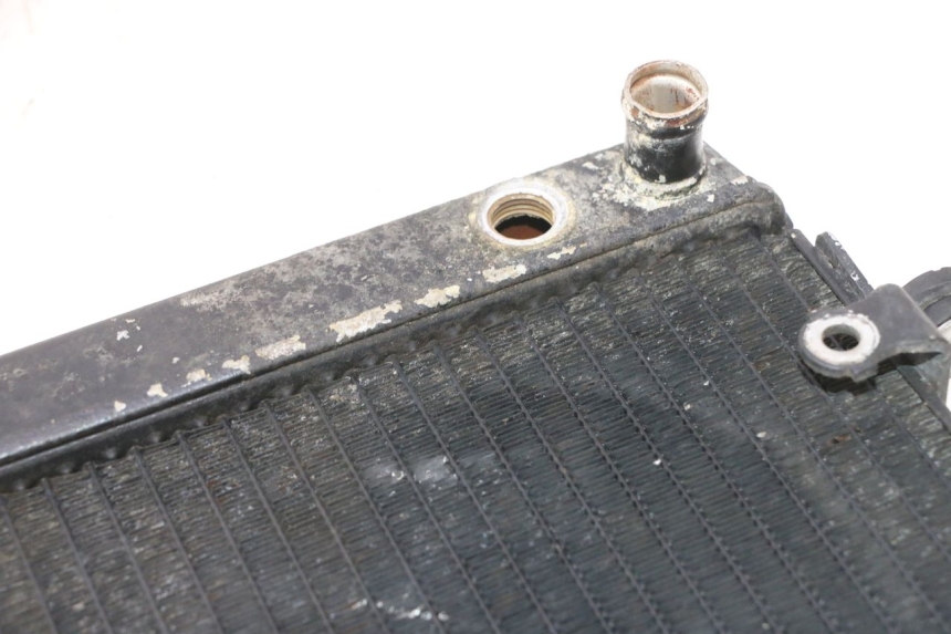 photo de KÜHLER HONDA FES PANTHEON 2T 125 (1998 - 2002) - Detailansicht des Bauteils