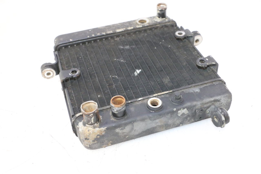 photo de KÜHLER HONDA FES PANTHEON 2T 125 (1998 - 2002) - Alternative Perspektive
