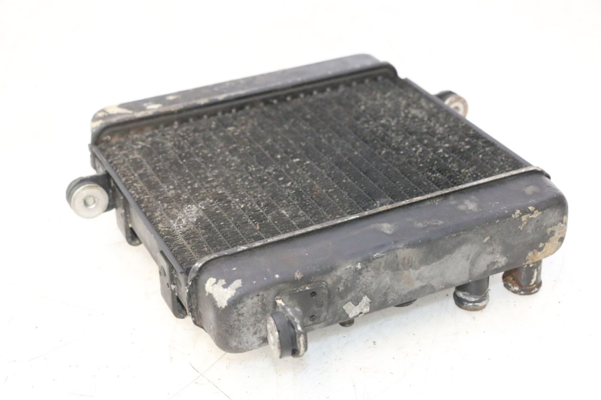 photo de KÜHLER HONDA FES PANTHEON 2T 125 (1998 - 2002) - Details der Befestigungspunkte