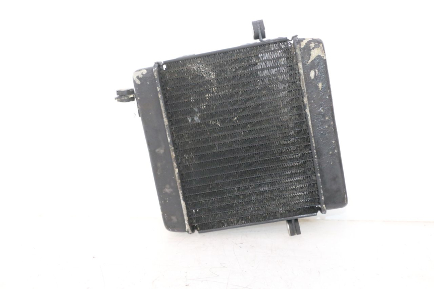 photo de KÜHLER HONDA FES PANTHEON 2T 125 (1998 - 2002) - Oberflächenzustand und Material
