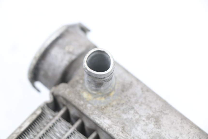 photo de KÜHLER HONDA FES S-WING SWING ABS 125 (2007 - 2015) - Gesamtansicht des Produkts