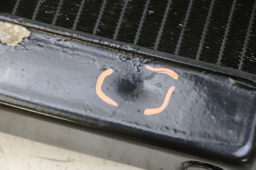 photo de KÜHLER  YAMAHA FZ6 N FAZER 600 (2004 - 2006) - Technische Nahaufnahme