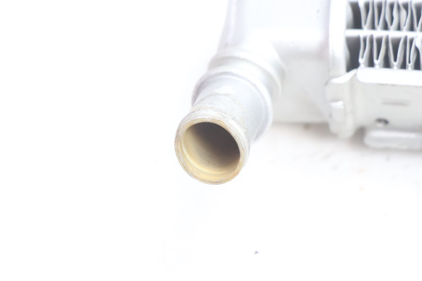 photo de KÜHLER LINKS PEUGEOT LUDIX BLASTER 50 (2006 - 2014) - Gesamtansicht des Produkts