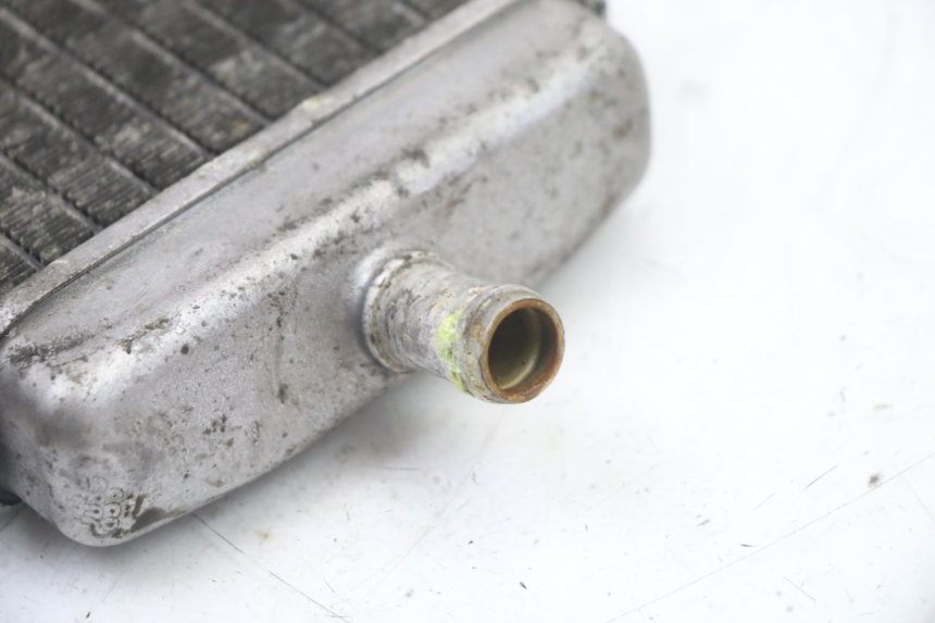 photo de KÜHLER LINKS PIAGGIO VESPA GRANTURISMO 125 (2003 - 2007) - Alternative Perspektive