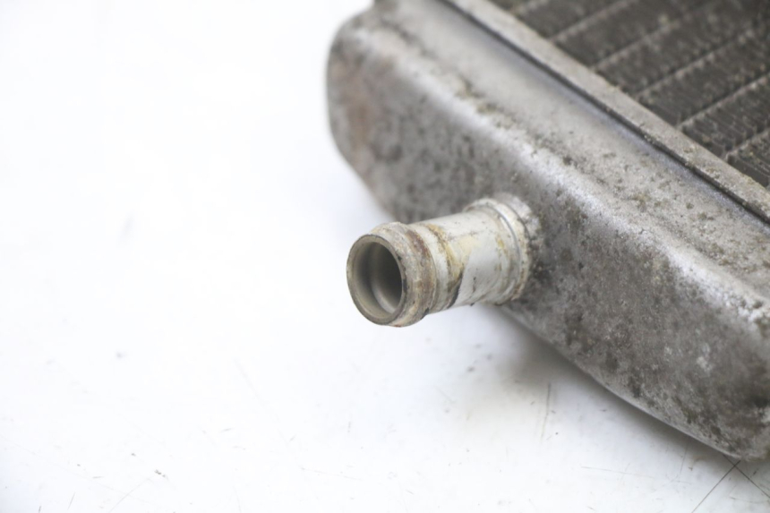 photo de KÜHLER LINKS PIAGGIO VESPA GRANTURISMO 125 (2003 - 2007) - Gesamtansicht des Produkts