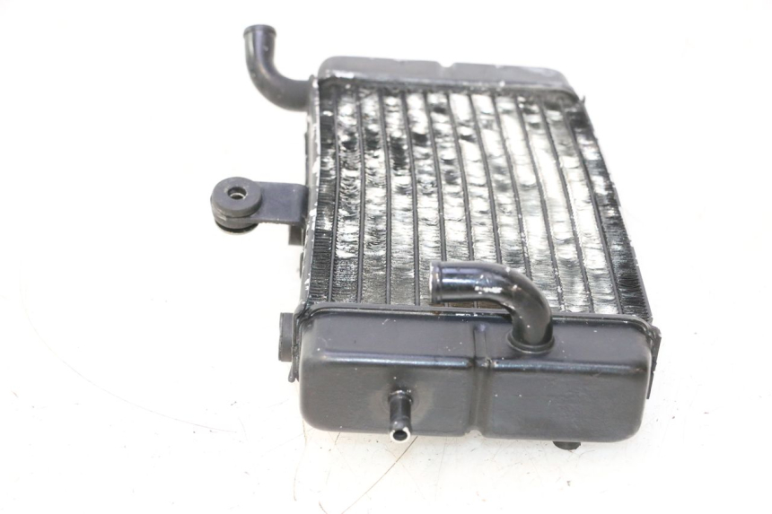 photo de KÜHLER LINKS HONDA XRV AFRICA TWIN 750 (1990 - 1992) - Technische Nahaufnahme