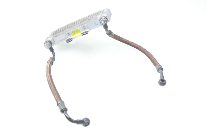 photo de ÖLKÜHLER HYOSUNG AQUILA GV 125 (2009 - 2016) - Oberflächenzustand und Material