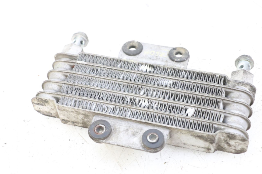 photo de ÖLKÜHLER HYOSUNG GV AQUILA 125 (2000 - 2009) - Zoom auf Gebrauchszustand