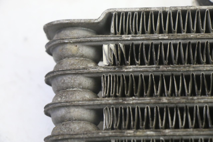 photo de ÖLKÜHLER HYOSUNG GV AQUILA 125 (2000 - 2009) - Detailansicht des Bauteils