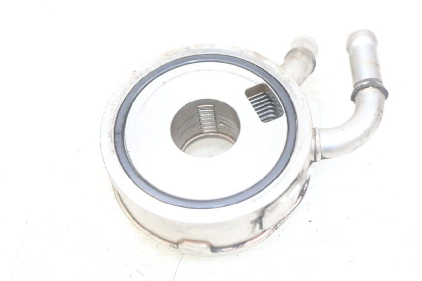 photo de ÖLKüHLER SUZUKI BURGMAN 650 (2002 - 2004) - Zoom auf Gebrauchszustand