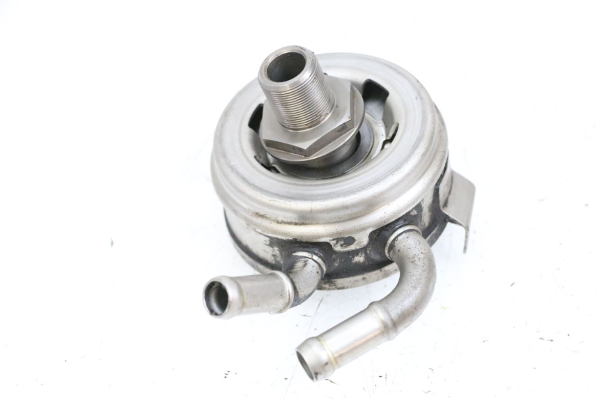 photo de ÖLKÜHLER SUZUKI BURGMAN EXECUTIVE ABS 650 (2006 - 2012) - Hauptansicht