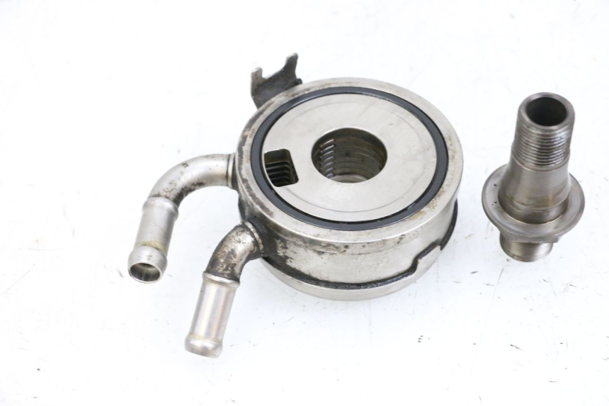 photo de ÖLKÜHLER SUZUKI BURGMAN EXECUTIVE ABS 650 (2006 - 2012) - Zoom auf Gebrauchszustand