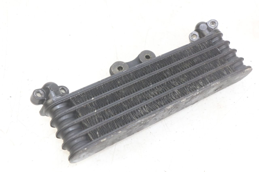 photo de ÖLKüHLER HONDA CBR F SC25 1000 (1989 - 1992) - Zoom auf Gebrauchszustand