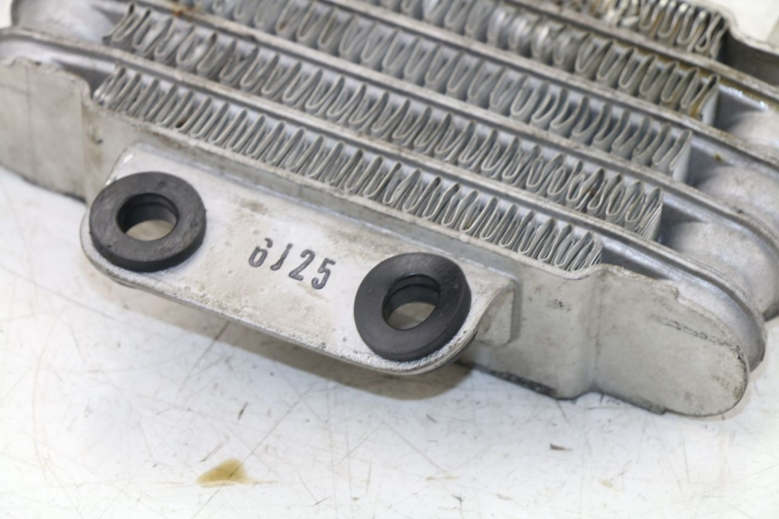 photo de ÖLKÜHLER DAELIM VJ ROADWIN 125 (2004 - 2007) - Detailansicht des Bauteils