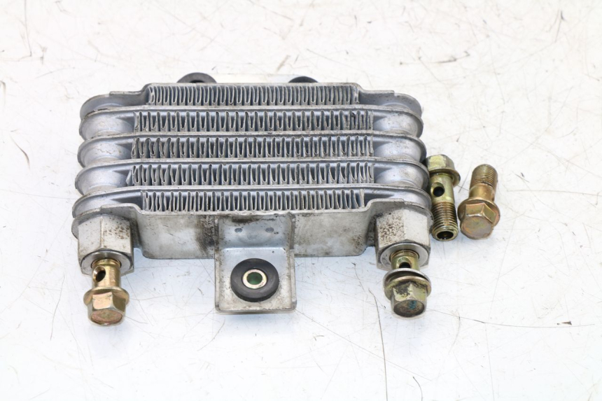 photo de ÖLKÜHLER DAELIM VJ ROADWIN 125 (2004 - 2007) - Zoom auf Gebrauchszustand