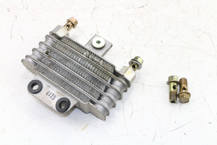 photo de ÖLKÜHLER DAELIM VJ ROADWIN 125 (2004 - 2007) - Technische Nahaufnahme