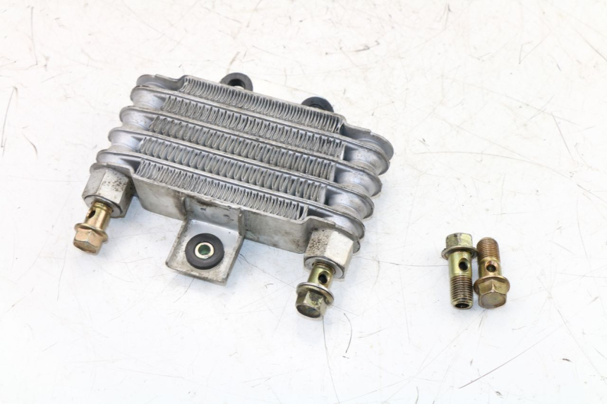 photo de ÖLKÜHLER DAELIM VJ ROADWIN 125 (2004 - 2007) - Oberflächenzustand und Material