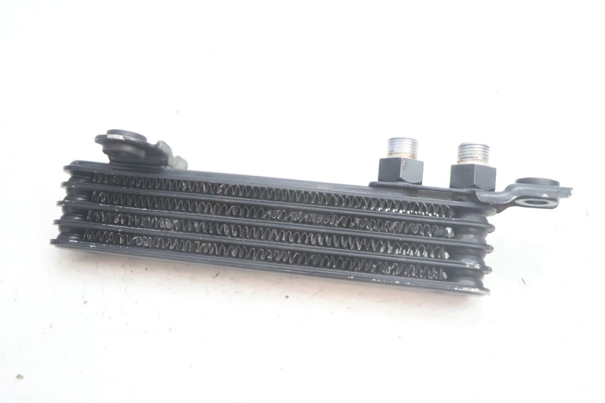 photo de ÖLKÜHLER SUZUKI DR S 600 (1985 - 1989) - Oberflächenzustand und Material