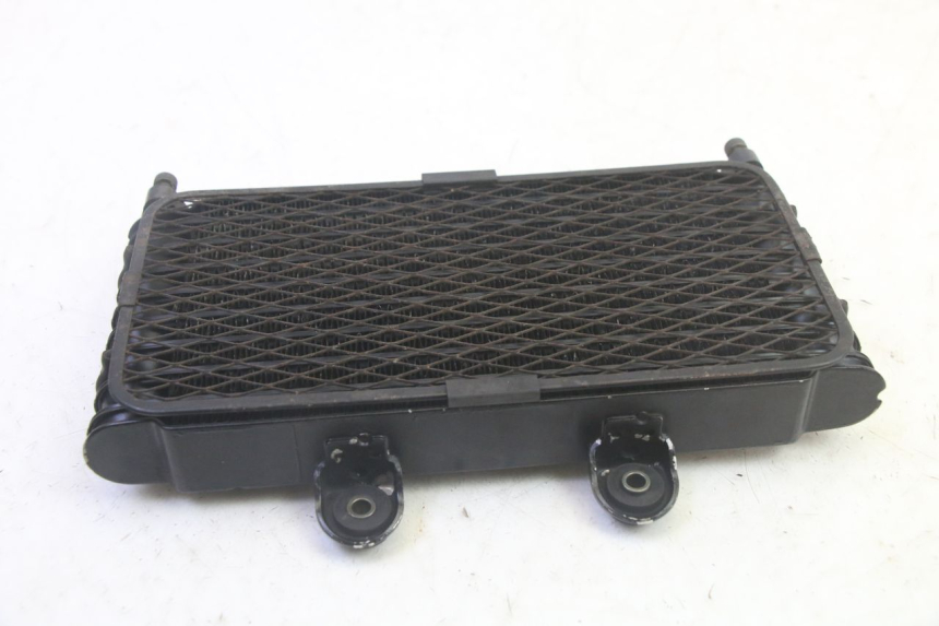 photo de ÖLKÜHLER SUZUKI GSF N BANDIT 600 (1996 - 1999) - Zoom auf Gebrauchszustand