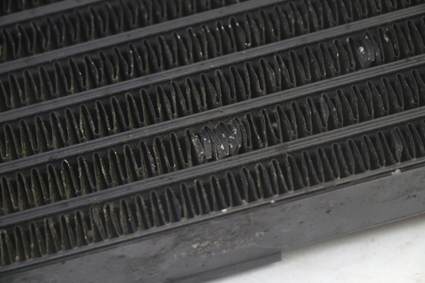 photo de ÖLKÜHLER SUZUKI GSF N BANDIT 600 (1996 - 1999) - Technische Nahaufnahme