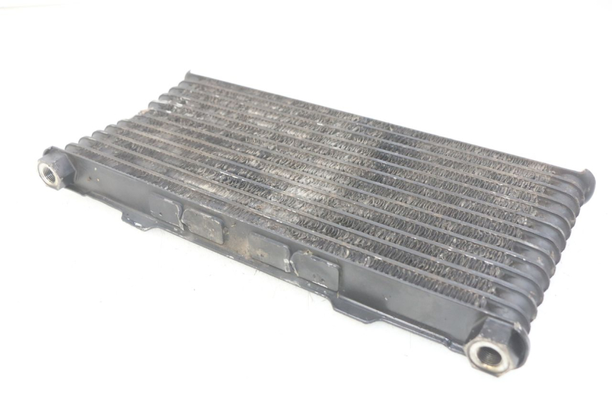 photo de ÖLKÜHLER SUZUKI GSX-F GSX  F 1100 (1988 - 1994) - Technische Nahaufnahme