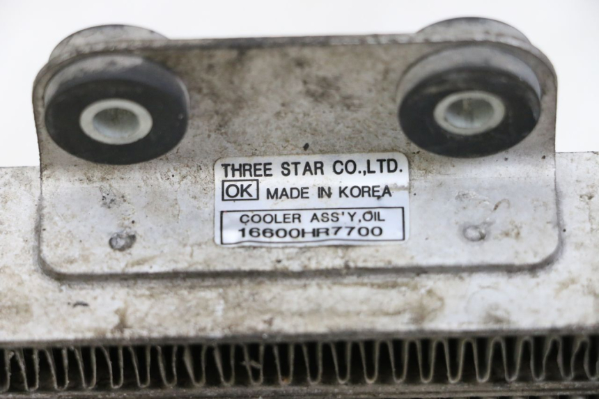 photo de ÖLKÜHLER HYOSUNG GTR 125 (2006 - 2008) - Zoom auf Gebrauchszustand