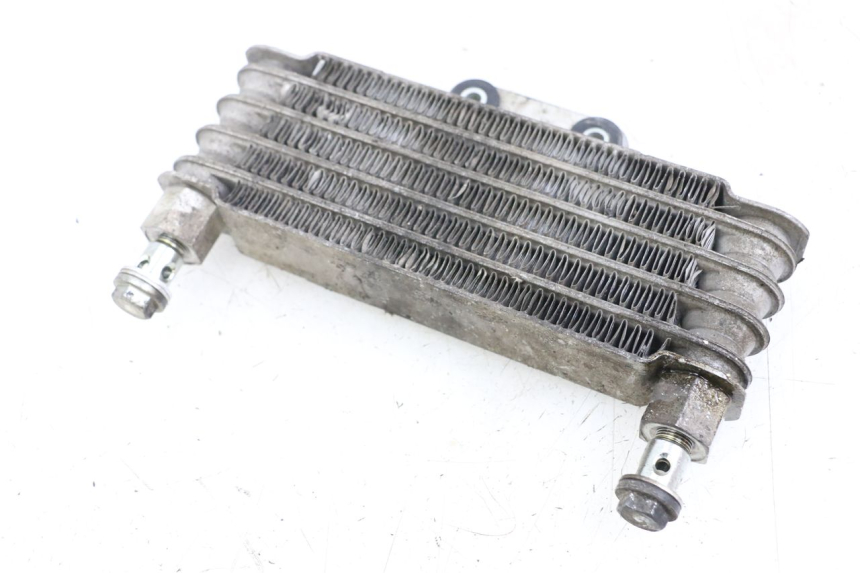 photo de ÖLKÜHLER HYOSUNG GTR 125 (2006 - 2008) - Technische Nahaufnahme