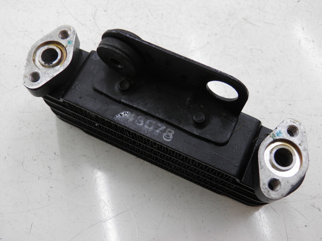 photo de ÖLKÜHLER KYMCO QUANNON NAKED 125 (2010) - Detailansicht des Bauteils